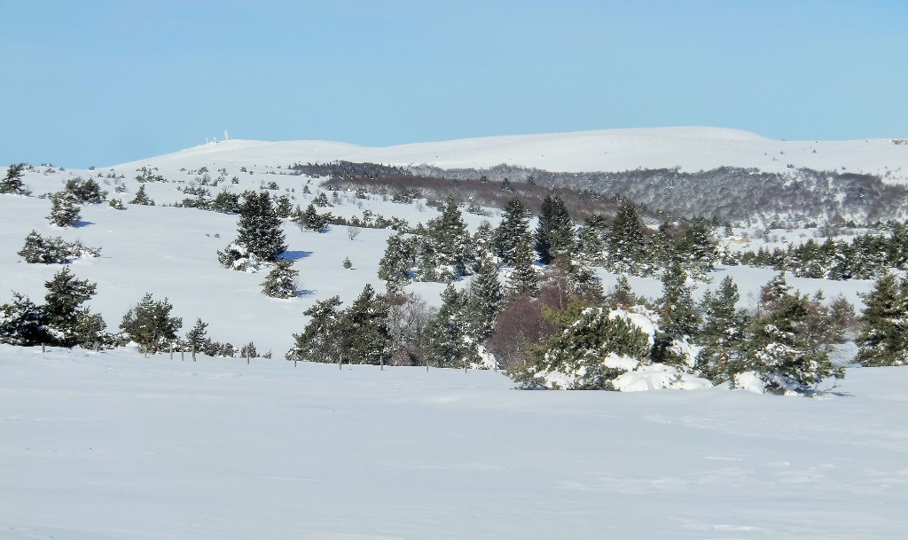 #5 Au loin, Un 1600 Au loin, Un 1600