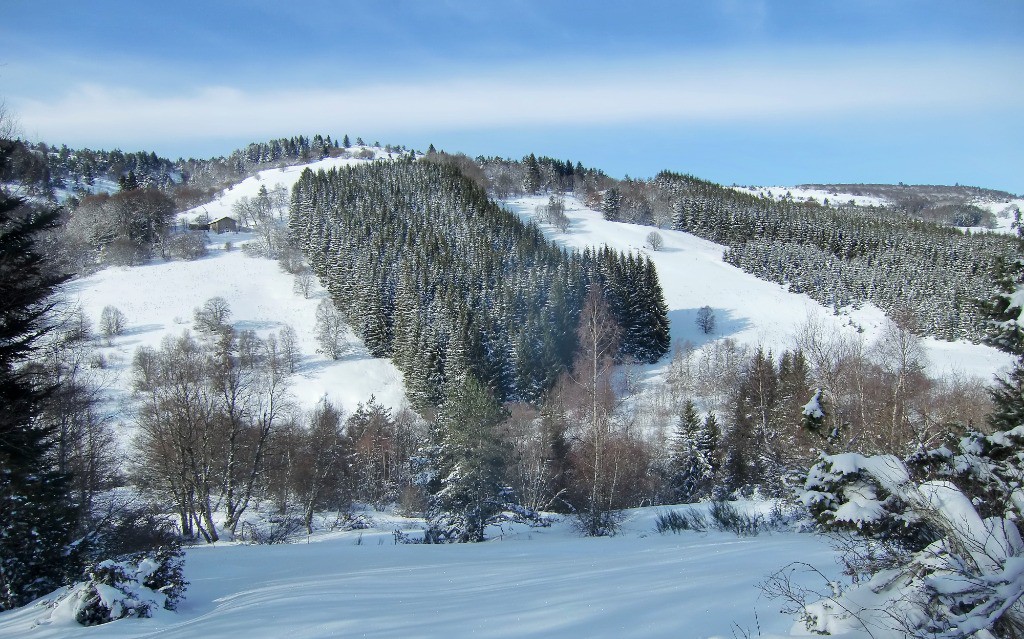 #3 Montagne à vaches!
Montagne à vaches!