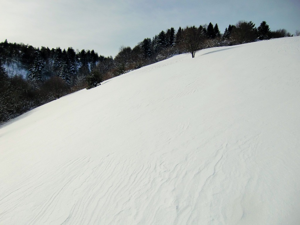 #8 ça va être coton dans toute cette poudre!
ça va être coton dans toute cette poudre!