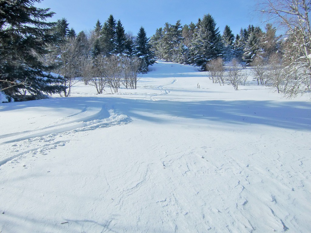 #6 C C'est très bon!
