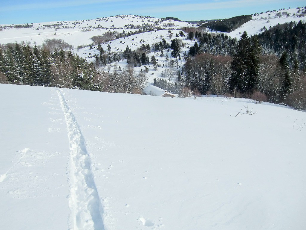 #7 Dans le rétro , une bergerie...
Dans le rétro , une bergerie...