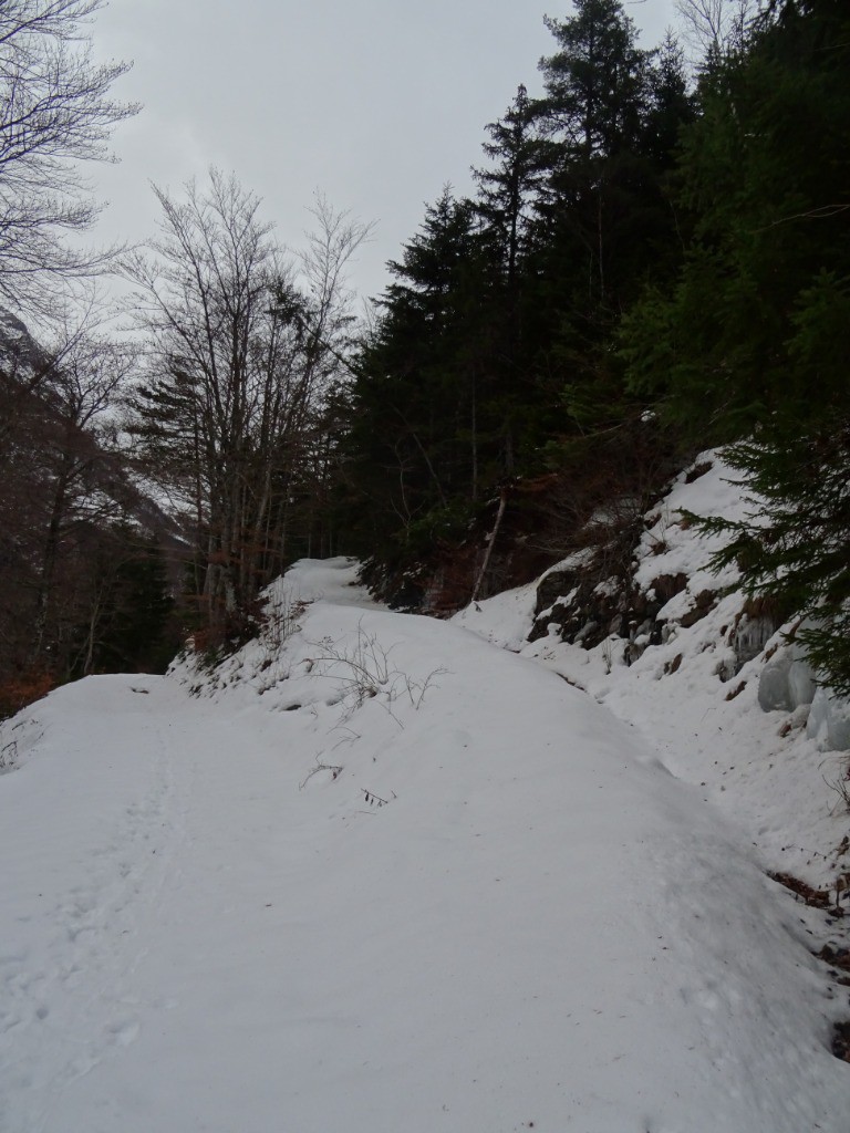 A l'intersection avec la route