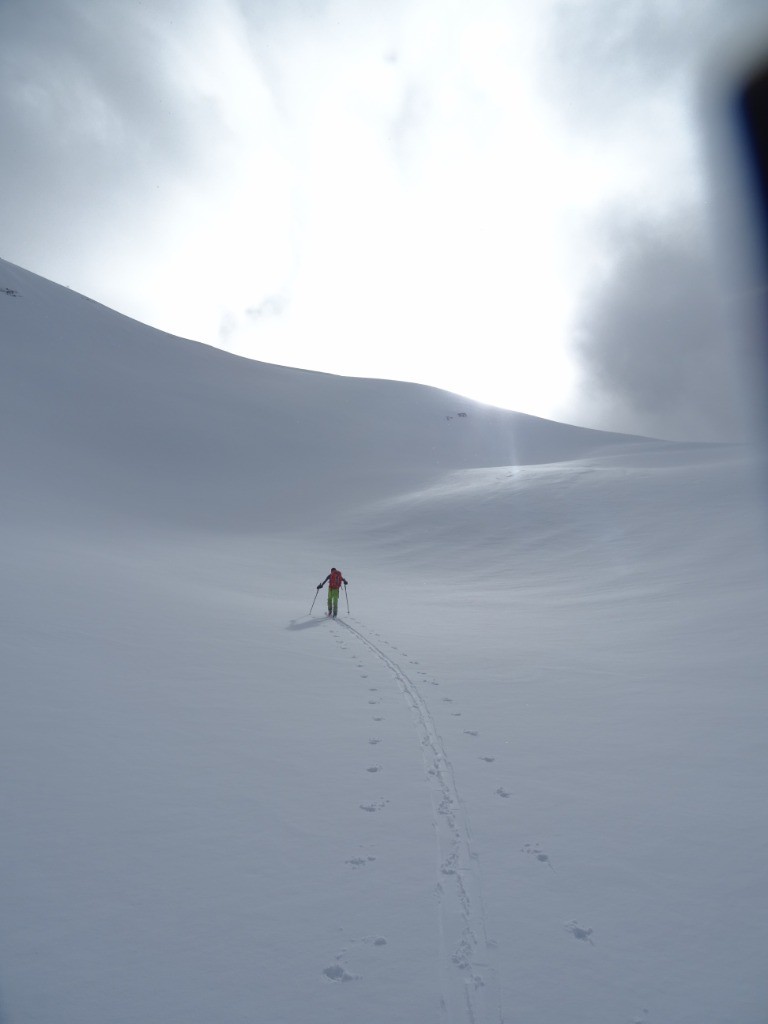 #7 Glad Glad' en route vers le soleil