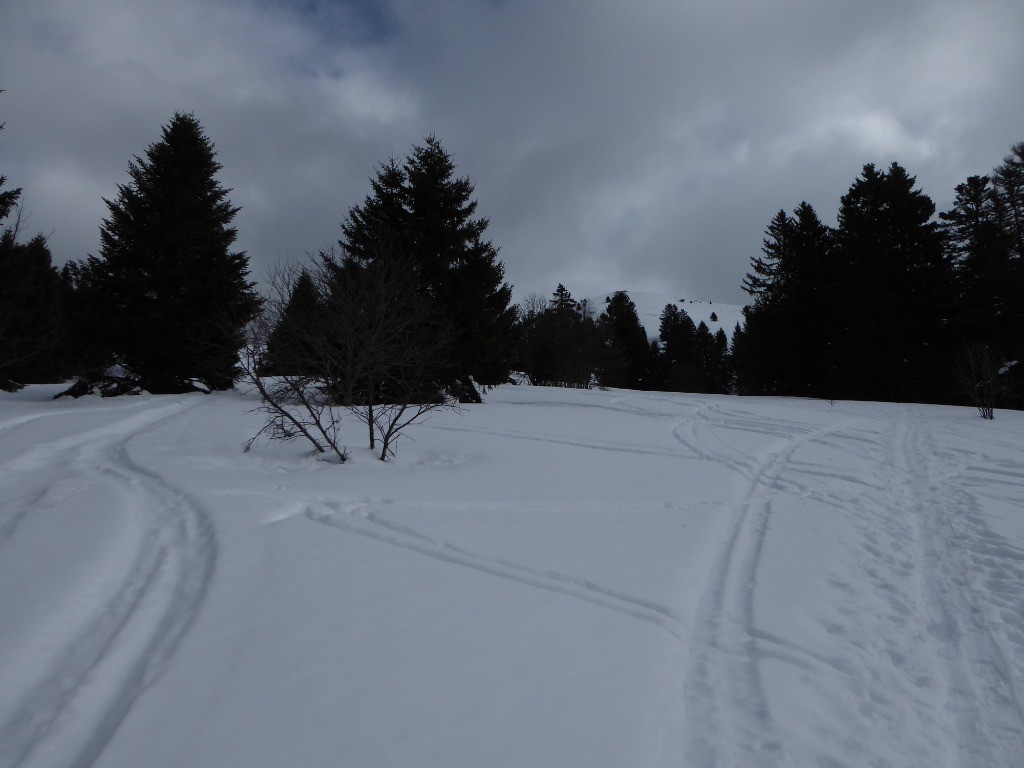 Sommet de Pravouta en vue depuis l'ancienne piste de ski!
