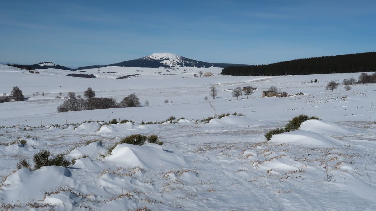 #7 Sculptures de Burle Sculptures de Burle