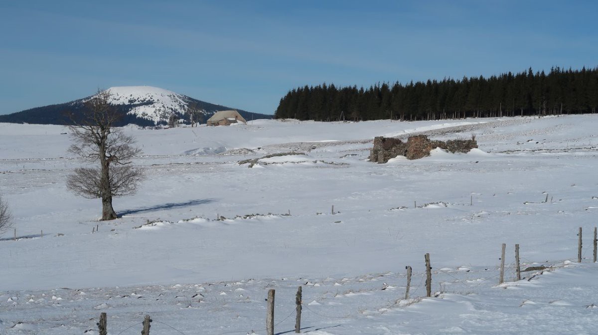 #9 Les grandes étendues de Sagnoles à La Mindre Les grandes étendues de Sagnoles à La Mindre