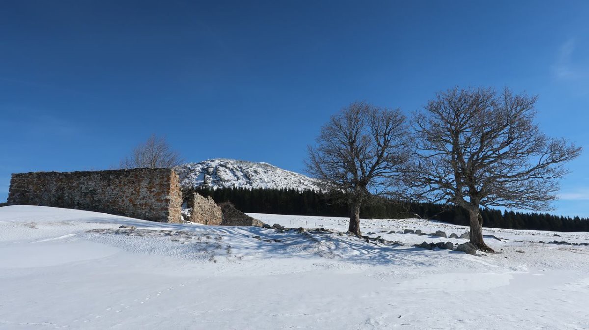 #8 Clatrousier Clatrousier