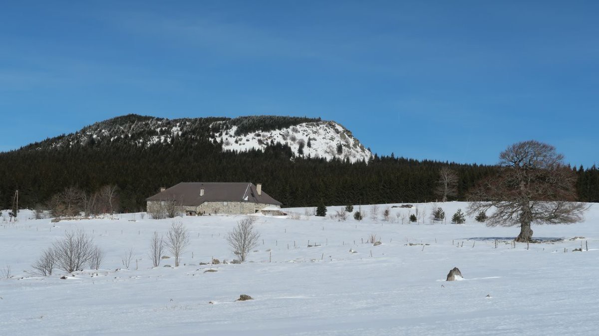 #10 Le Pré du Bois niché sous le Suc de Taupernas Le Pré du Bois niché sous le Suc de Taupernas