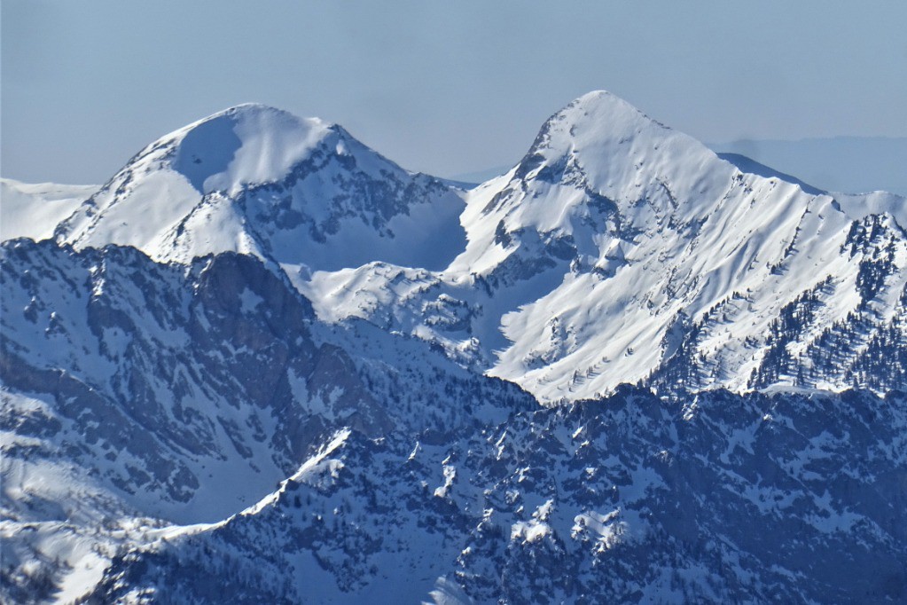 Chameau et Aiguillette