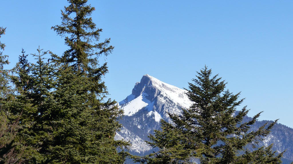 #8 Le Grand Som. Le Grand Som.