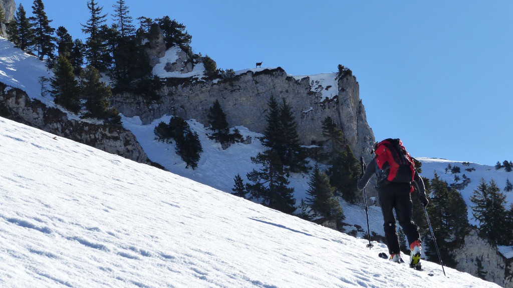 #16 On nous surveille sur la montée vers le couloir W des Lances. On nous surveille sur la montée vers le couloir W des Lances.