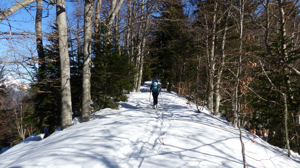 Sur la crête vers le col de la Faïta.