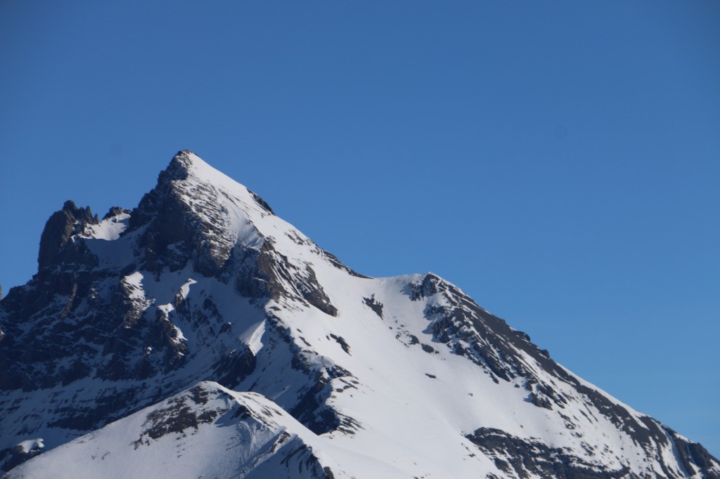 #4 La course d La course d'hier