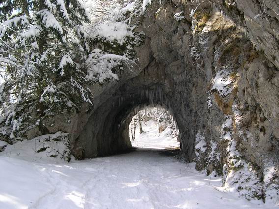 Le tunnel : Sur la route forestière passage dans un tunnel : tombera, tombera pas...