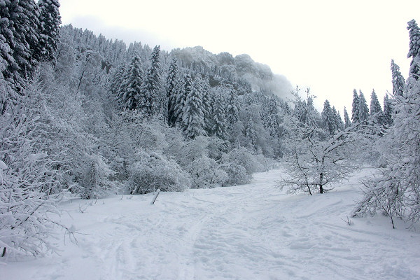 #2 Sur l Sur l'ancienne piste : De la poudre partout!!