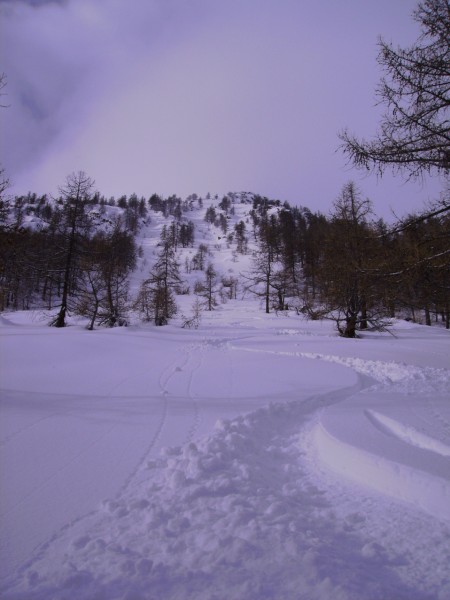 #1 La trace : Ineffable euphorie! La trace : Ineffable euphorie!