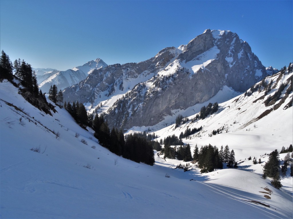 vue du Mont Chauffé des Chalets du Mens