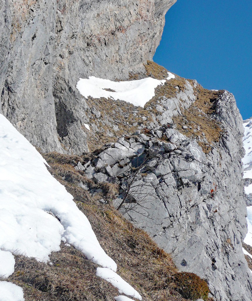 #9 Séquence chamois (suite) Séquence chamois (suite)