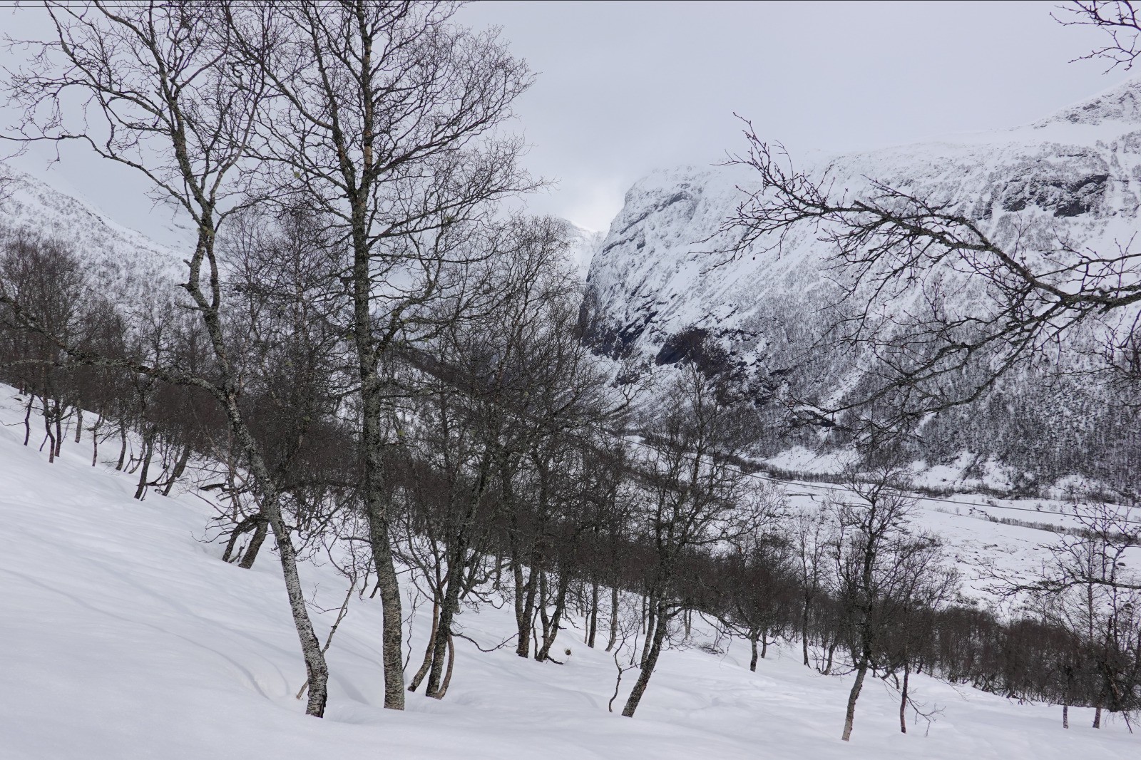 #62 Vue vers la vallée et le sommet du Fivelstadnibba Vue vers la vallée et le sommet du Fivelstadnibba