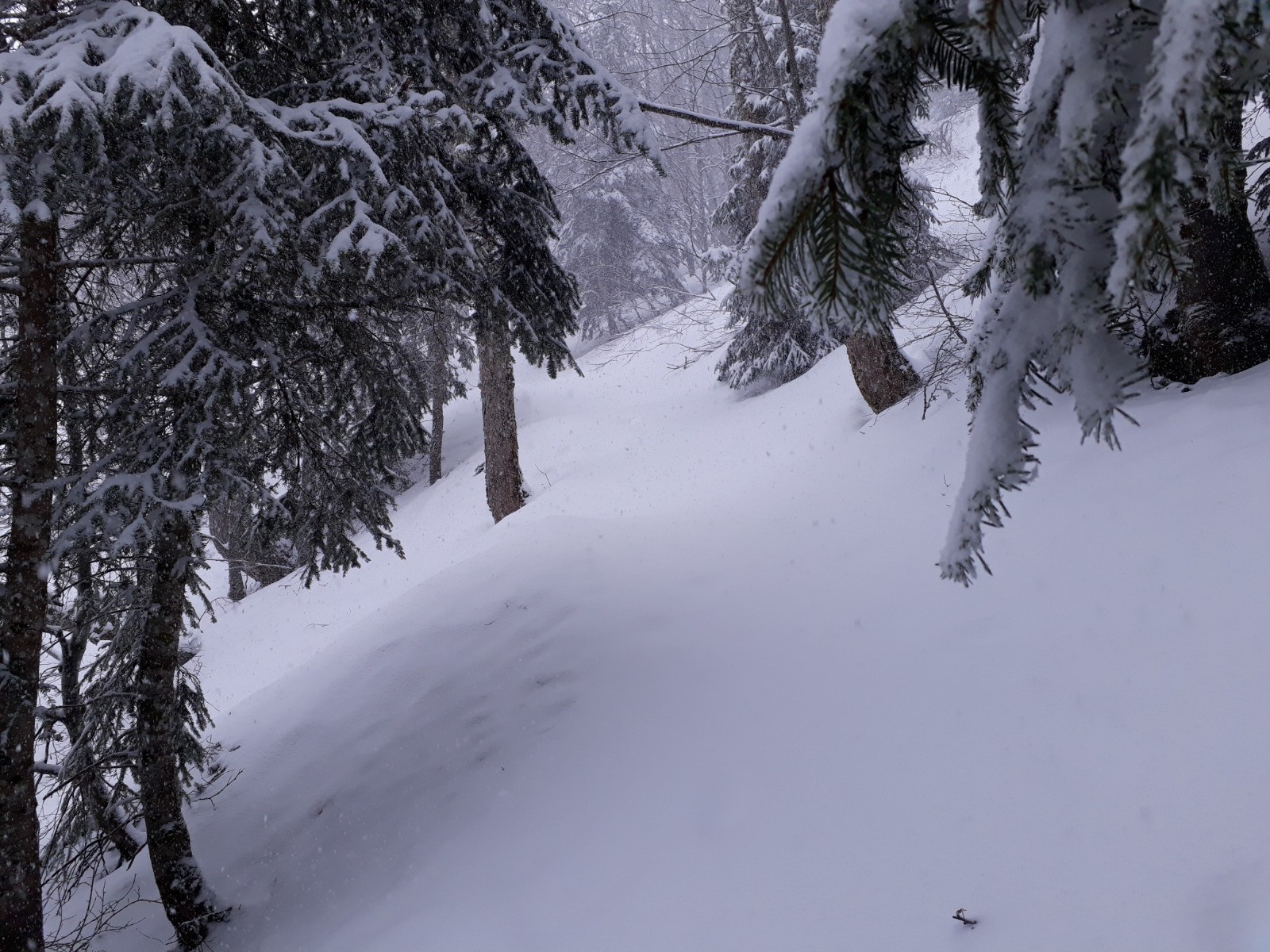 #1 La traversée au dessus des pistes La traversée au dessus des pistes