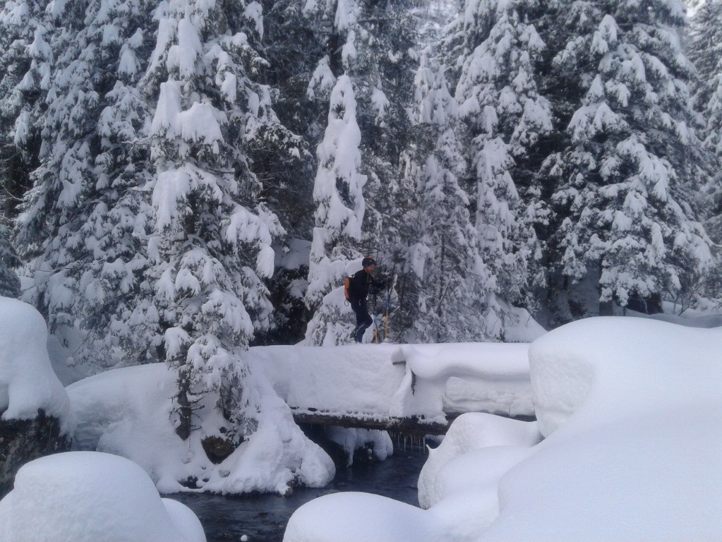 La chute de la veille