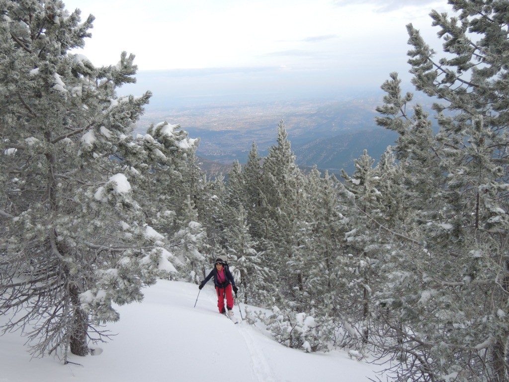 #2 Belle poudreuse dans la forêt du versant nord Belle poudreuse dans la forêt du versant nord