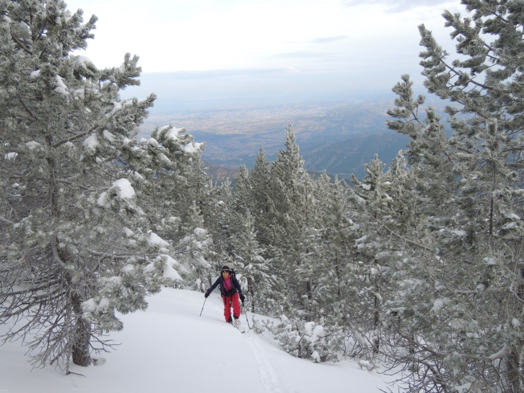 Belle poudreuse dans la forêt du versant nord