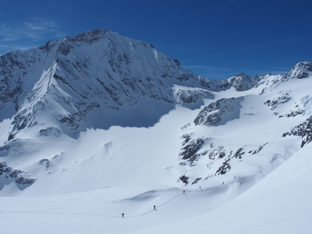 La belle Dent Parrachée