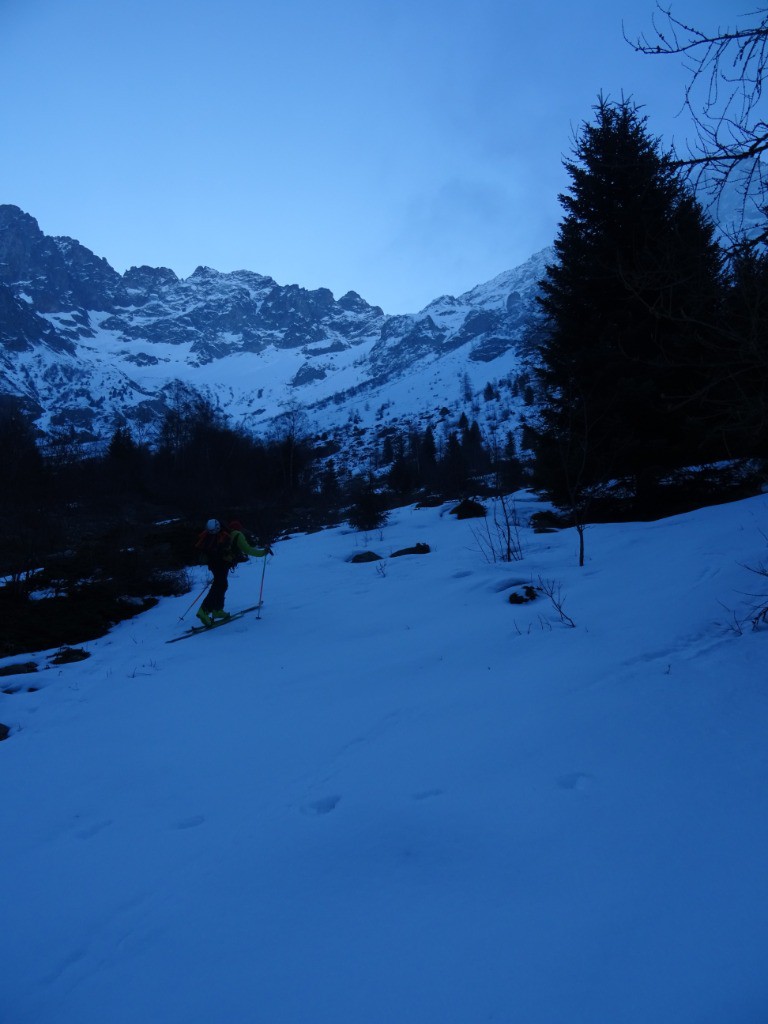 #3 La ligne de crête à la sortie de la forêt La ligne de crête à la sortie de la forêt