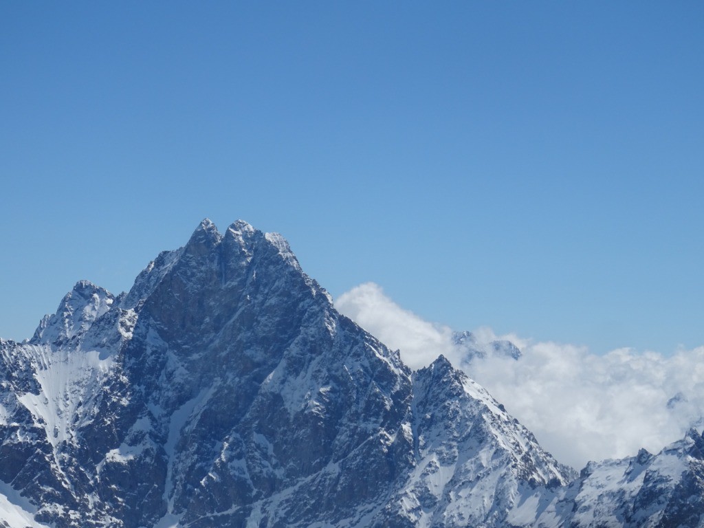 #10 L L'Olan, l'unique !