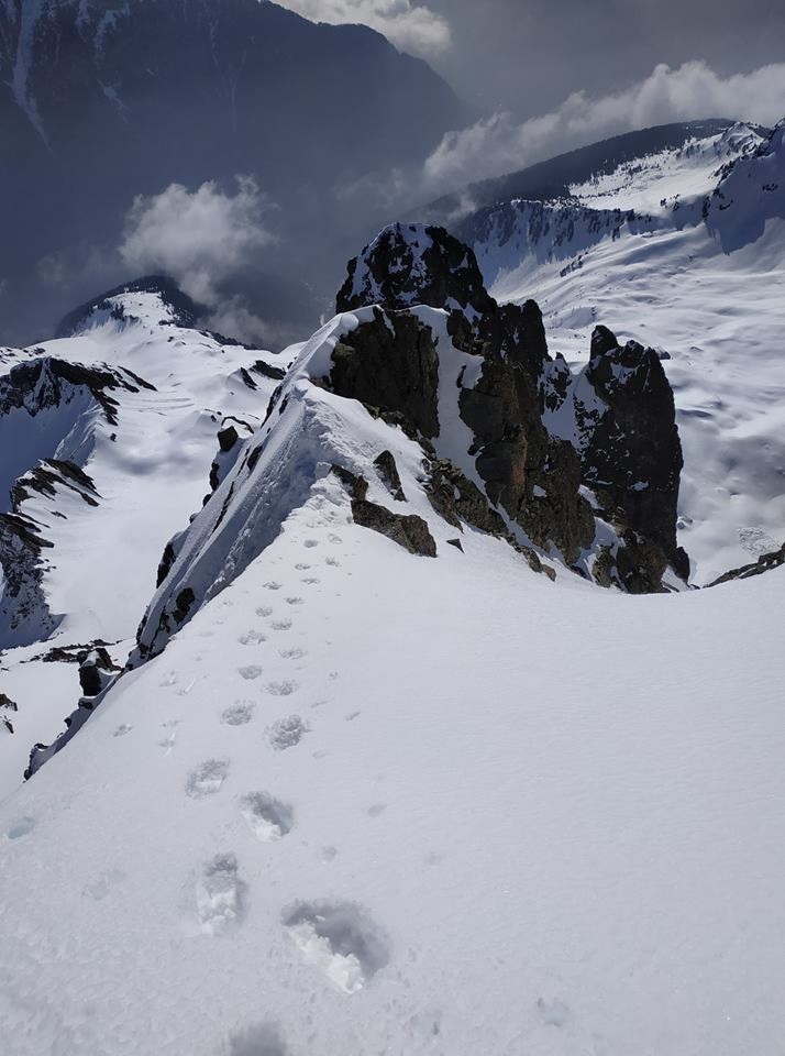 #8 summit summit