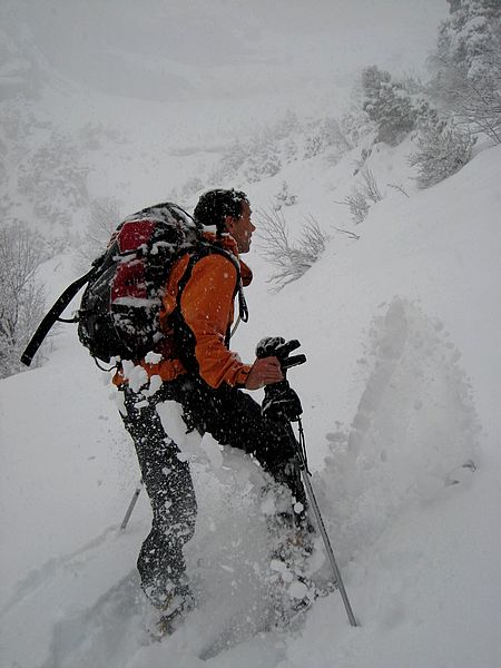#1 Pedro à la trace : Hum, la bonne poudre qui vole sur les spatules!! Pedro à la trace : Hum, la bonne poudre qui vole sur les spatules!!