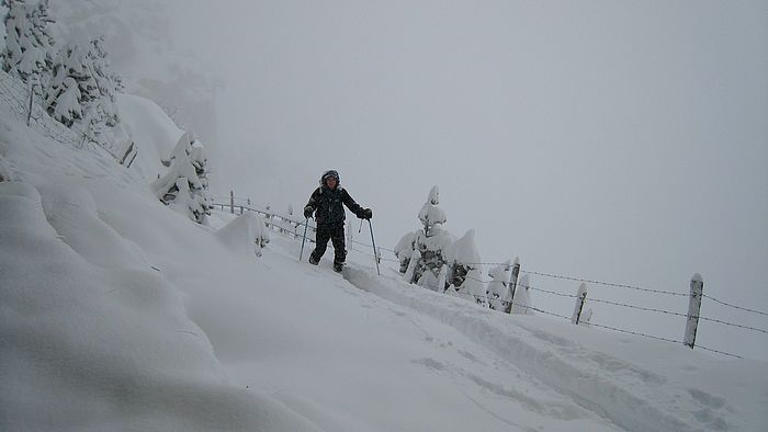 #2 Cirque : Jip dans la tranchée, même le cirque est gavé!!! Cirque : Jip dans la tranchée, même le cirque est gavé!!!