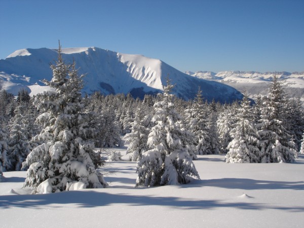 #5 Pas de trace : Descente dans les sapins, je comprendrais pourquoi, j Pas de trace : Descente dans les sapins, je comprendrais pourquoi, j'avance pas. Le grand serre au fond.