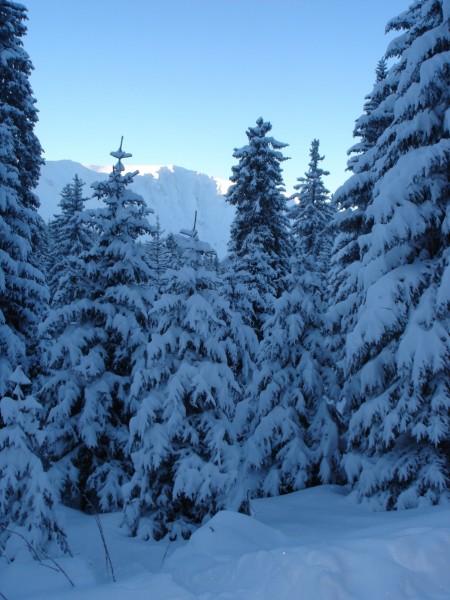 #1 Le jour ce lève : Et oui on est en hiver!!!! les arbres sont gavés de neige. Le jour ce lève : Et oui on est en hiver!!!! les arbres sont gavés de neige.