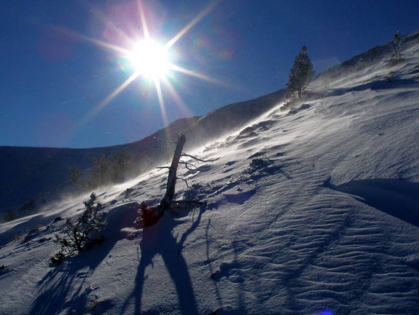 #2 Versant nord : Ici, il y a toujours du vent !!! Versant nord : Ici, il y a toujours du vent !!!