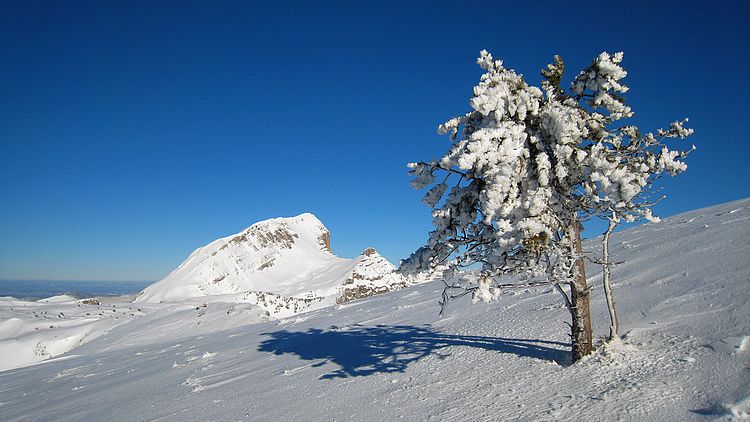 #5 Grand Veymont : Du sommet, vue sur l Grand Veymont : Du sommet, vue sur l'impressionante face sud-est du grand Veymont