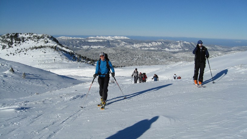 #2 Troupeau : Attaque de skitouriens Troupeau : Attaque de skitouriens