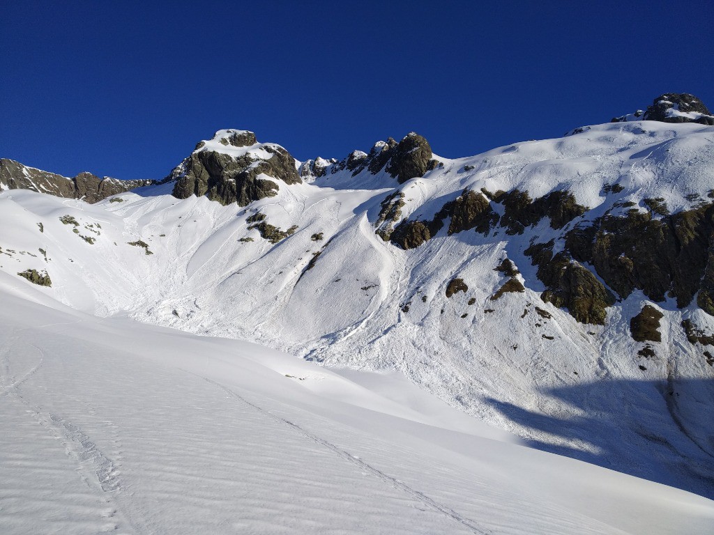 #10 Purges partout Purges partout