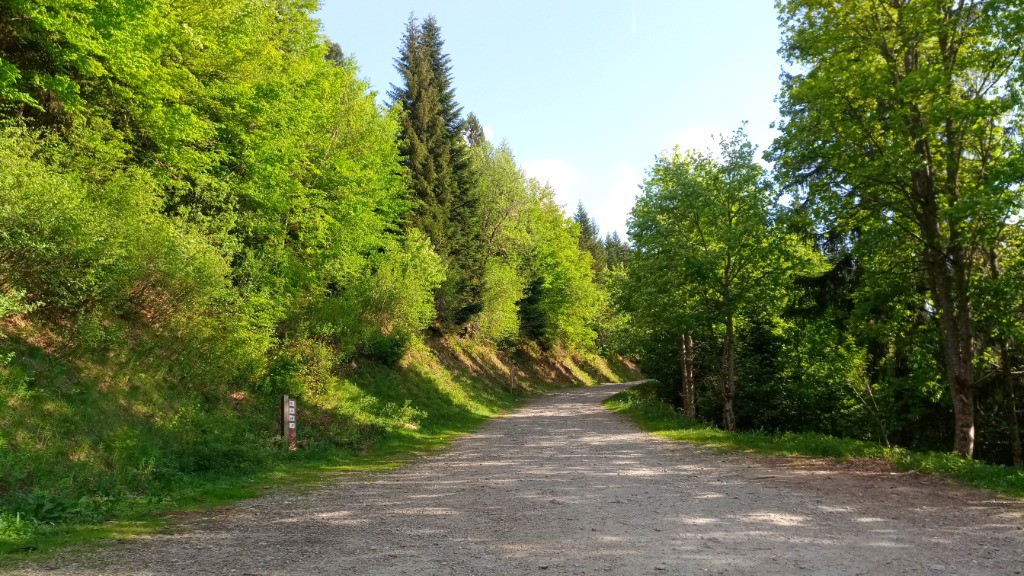 #1 Top départ Top départ