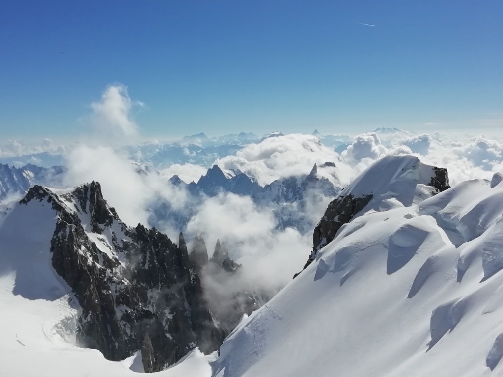 #17 Splendide Splendide