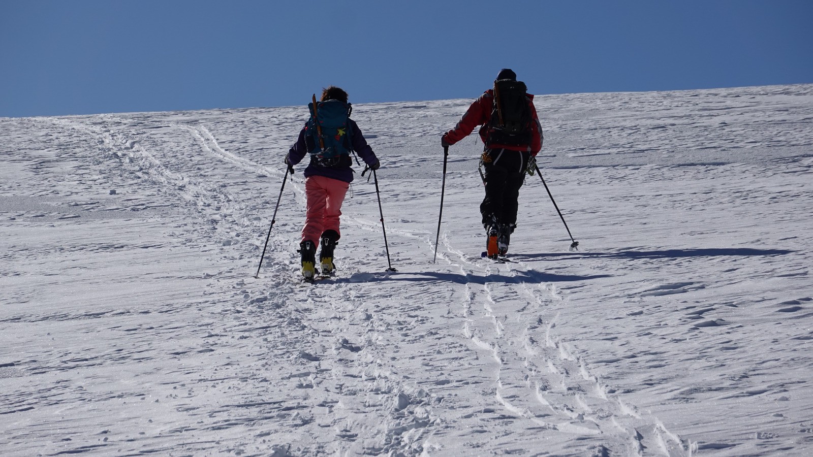 #16 En remontant à Gobba di Rollin En remontant à Gobba di Rollin