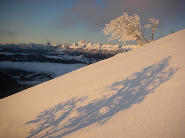 #1 La Peyrouse : Le soleil arrive ! La Peyrouse : Le soleil arrive !