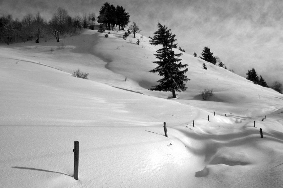 #2 Montagne de Sulens : Des accumulations mais rien de très grave à cet endroit Montagne de Sulens : Des accumulations mais rien de très grave à cet endroit