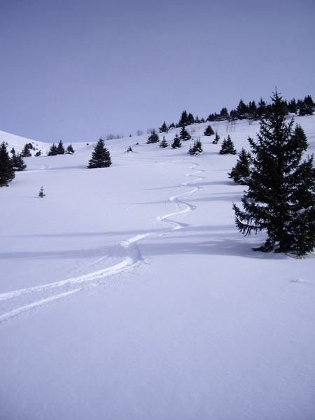 #3 Traces descente : Sur le bas de la combe, c Traces descente : Sur le bas de la combe, c'est tout bon!