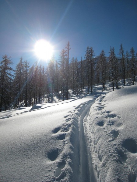 #2 Mélezin : Ca c Mélezin : Ca c'est le pied à skier dans ces conditions.