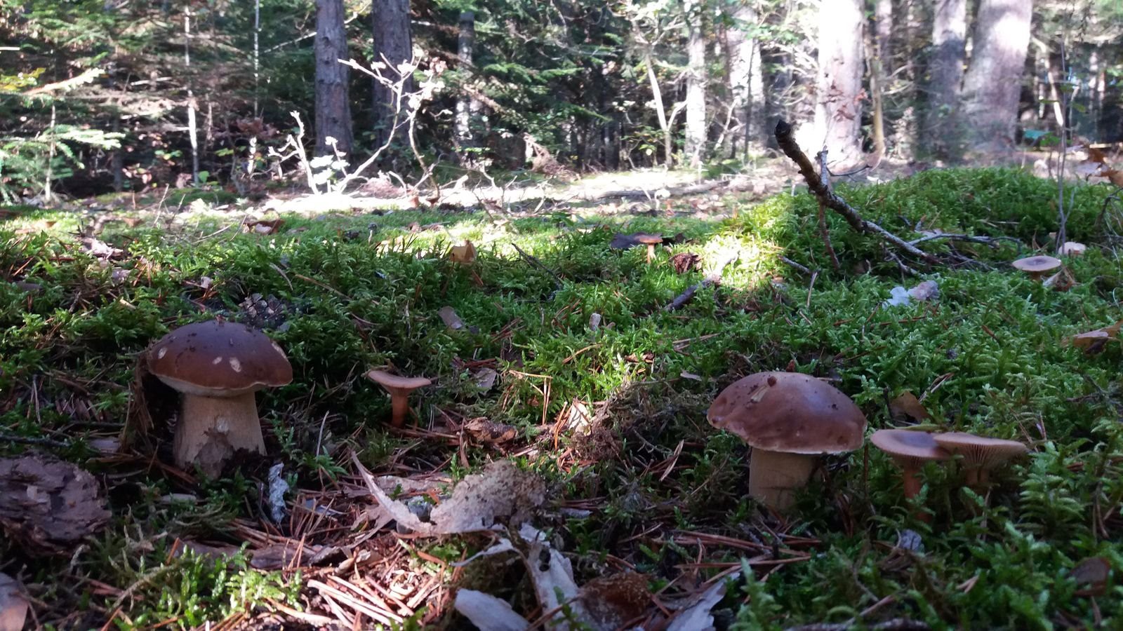 #1 48h avant la neige 48h avant la neige