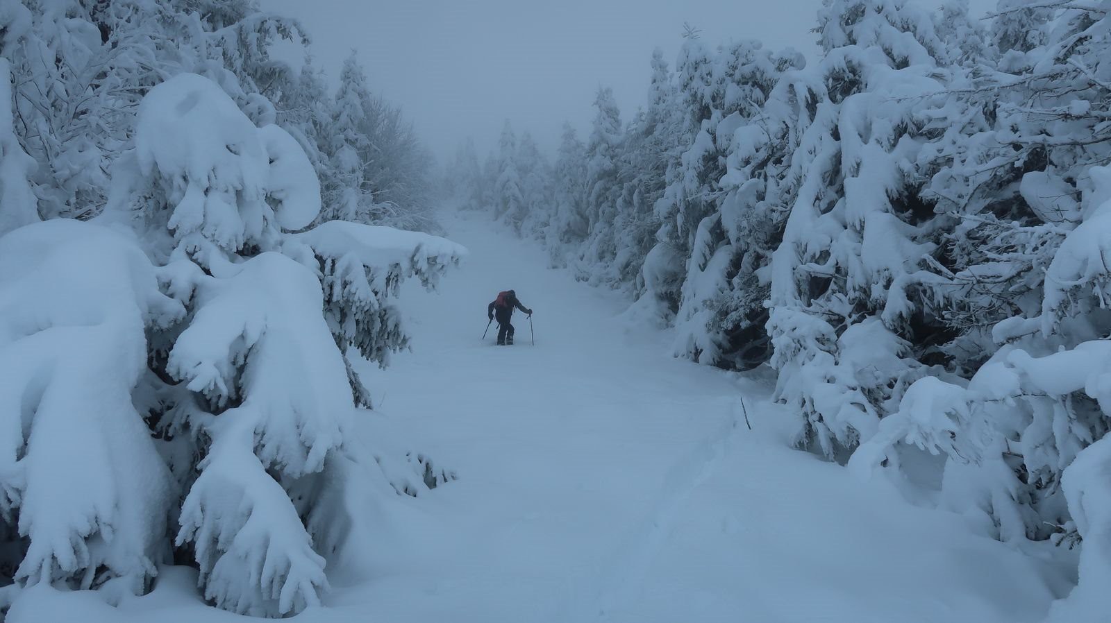 #1 Mt Chaulet, Laurent à la trace Mt Chaulet, Laurent à la trace