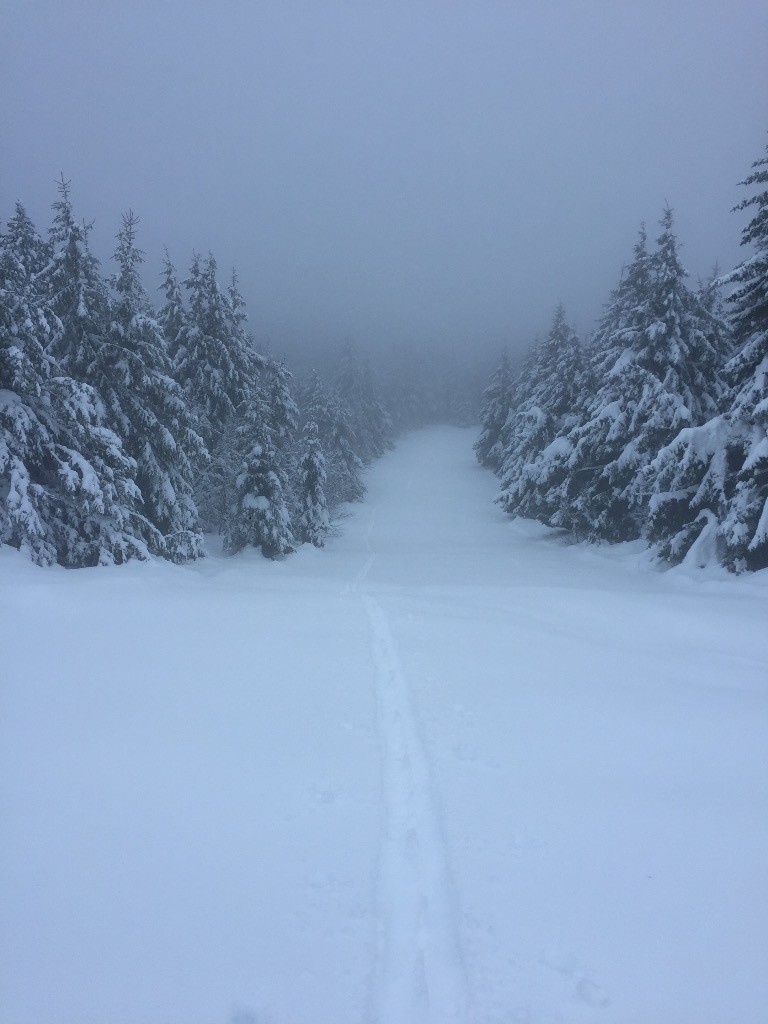 #3 Pas une trace à l Pas une trace à l'horizon !