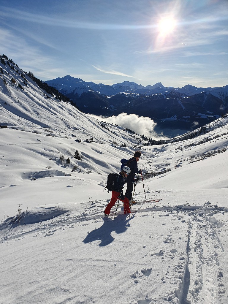 Vallée dans la brume